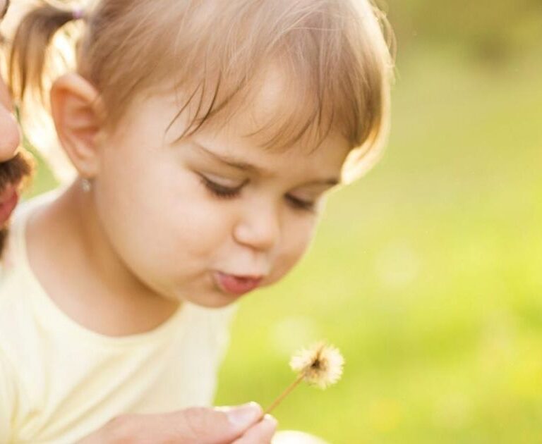 behavior guidance - blowing a sunflower